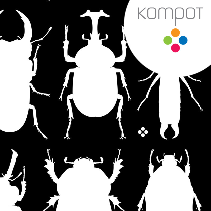 Dámské tričko :: BROUCI, černé